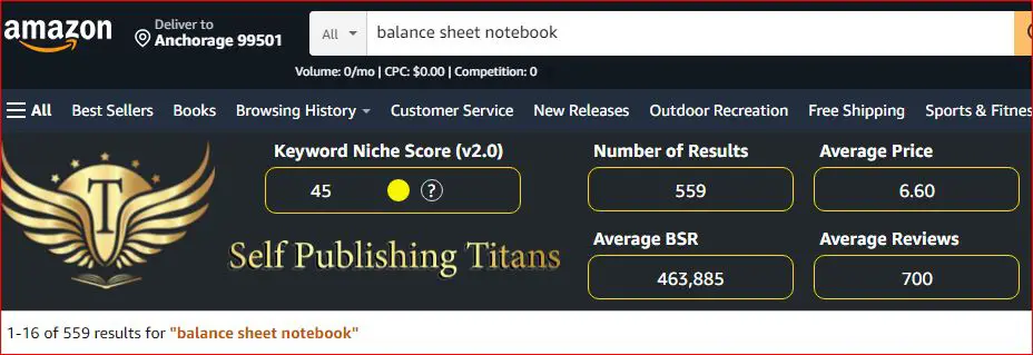 balance sheet notebook