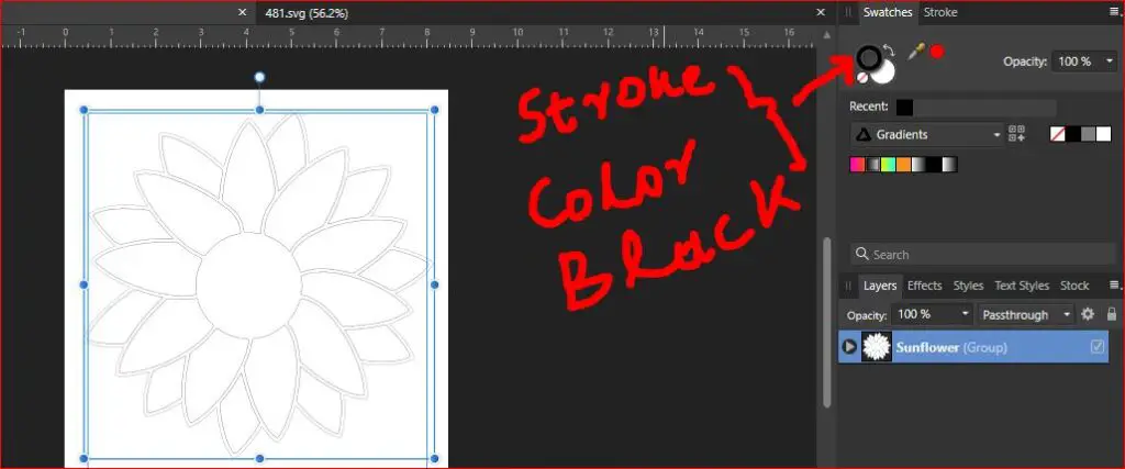 how to change stroke color in after effects