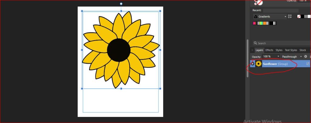 sunflower coloring page setting up