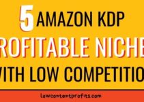 5 Profitable Niches With Low Competition – Amazon Kdp