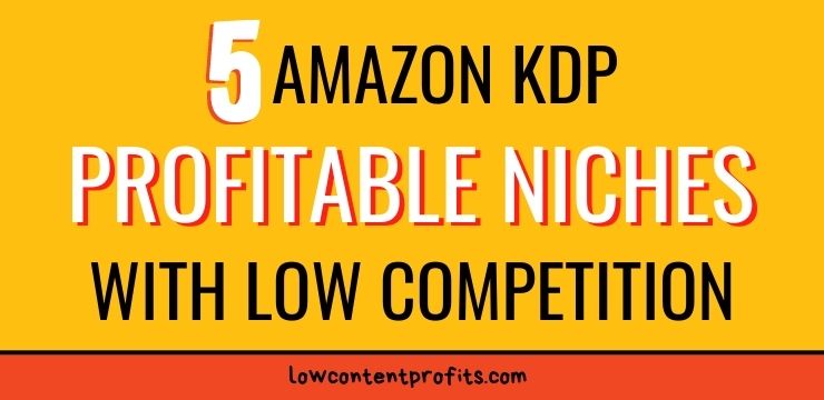 5 profitable niches with low competition amazon kdp