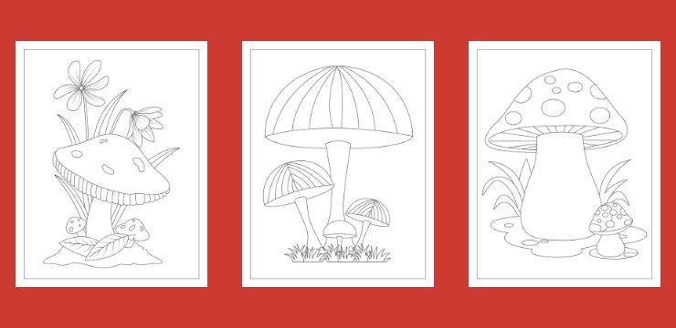 mushroom coloring book cover pages