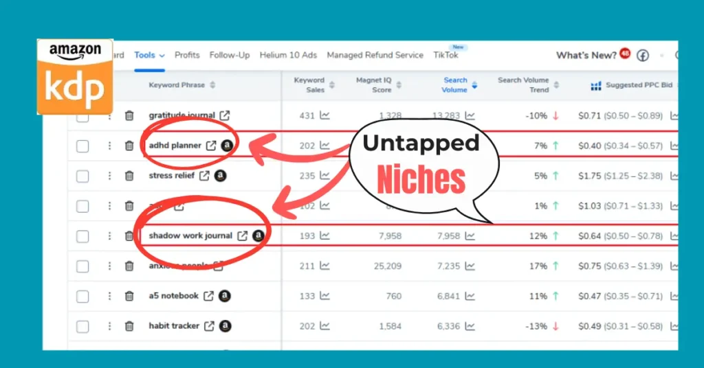 amazon kdp niche research tutorial using helium 10 magnet tool
