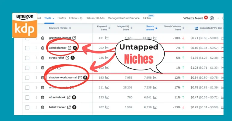 amazon kdp niche research tutorial using helium 10 magnet tool