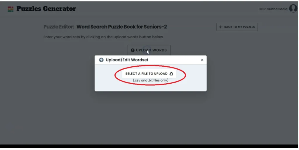 How I Created a Word Search Puzzle Book in Minutes Using AI and Instant Puzzle Generator 7 uploading the words list to instant puzzle generator